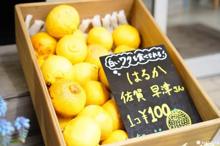 吉祥寺甜點 水果3