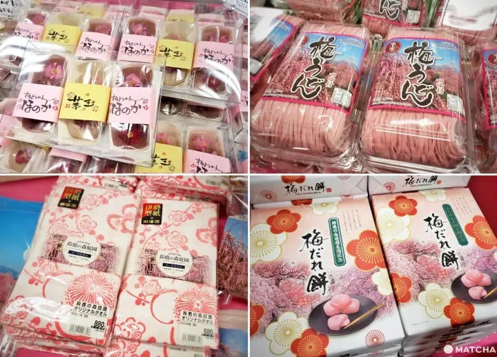 【三重铃鹿】似樱非樱似雾非雾的粉色仙境-铃鹿の森庭园