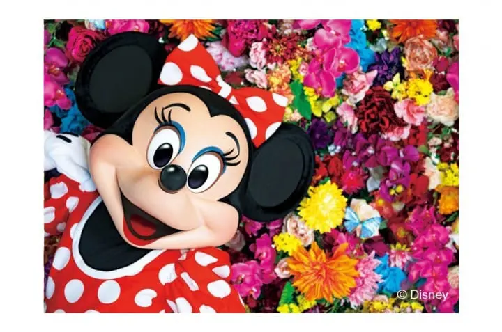 蜷川實花 迪士尼寫真集