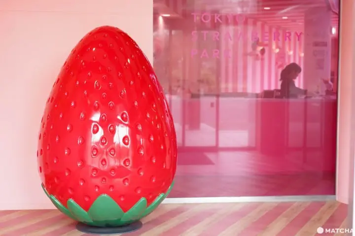 TOKYOK Strawberry park 4