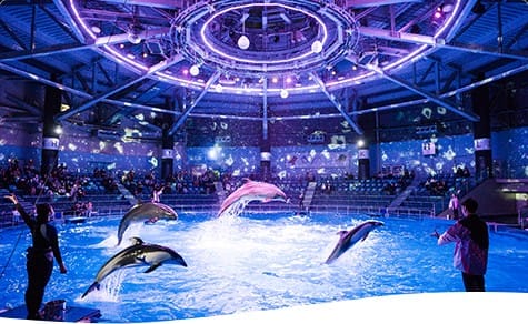 Maxell AQUA PARK SHINAGAWA