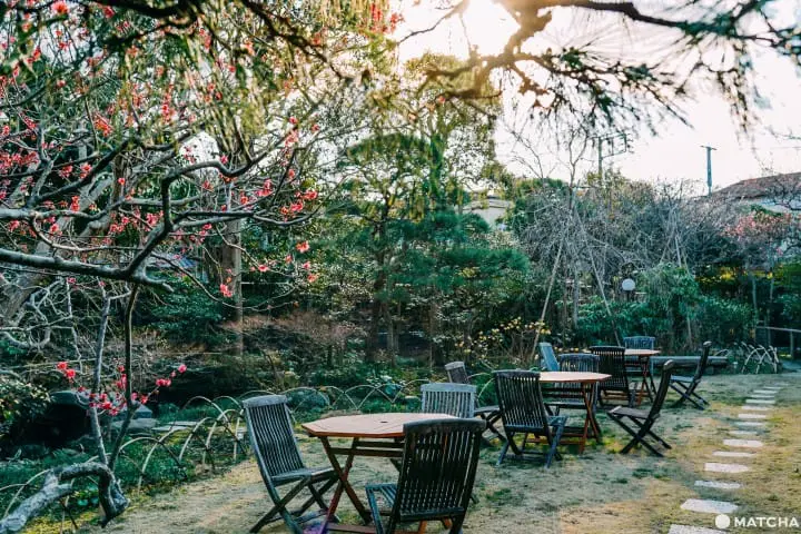 【鎌倉】轉個彎讓你時光倒轉！小巷弄的私藏咖啡廳「大佛茶廊」