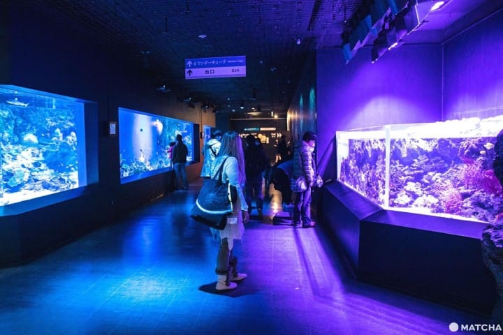 Maxell AQUA PARK SHINAGAWA