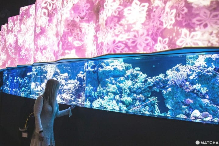 Maxell AQUA PARK SHINAGAWA
