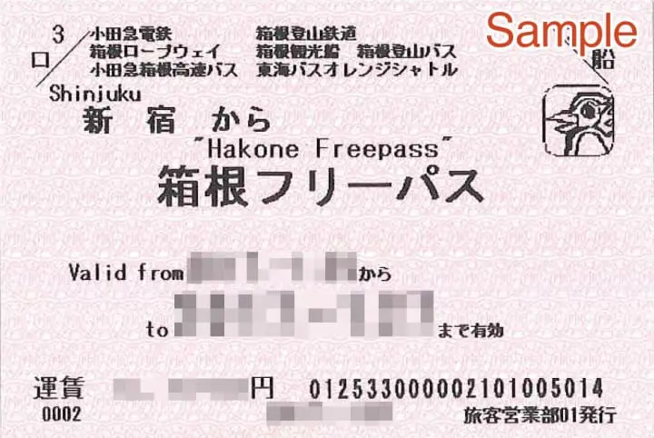 The Perfect Route for Solo Travelers! A Two Day Hakone Trip Exploring the Outdoors, Eating Traditional Cuisine, and Enjoying Art
