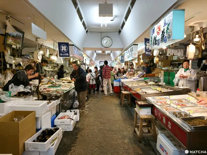 【青森】賞櫻一定要去一次 弘前城賞櫻一天行程提案