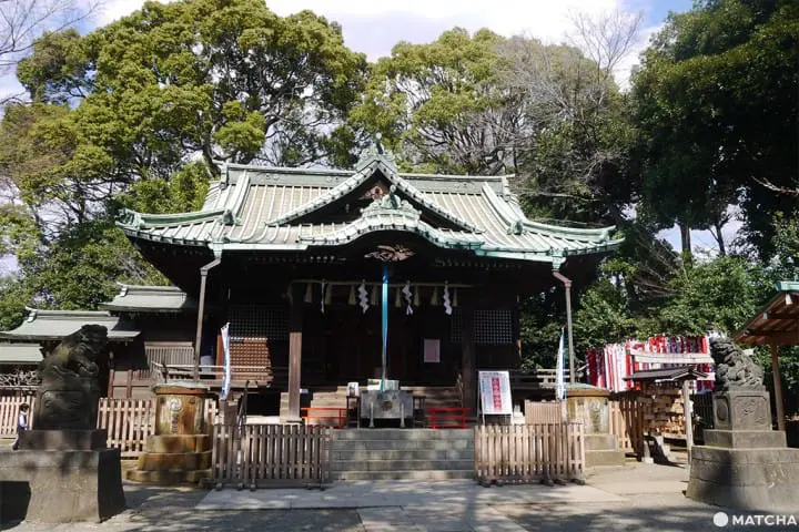 代代木慢步調半日遊（代々木半日散策）