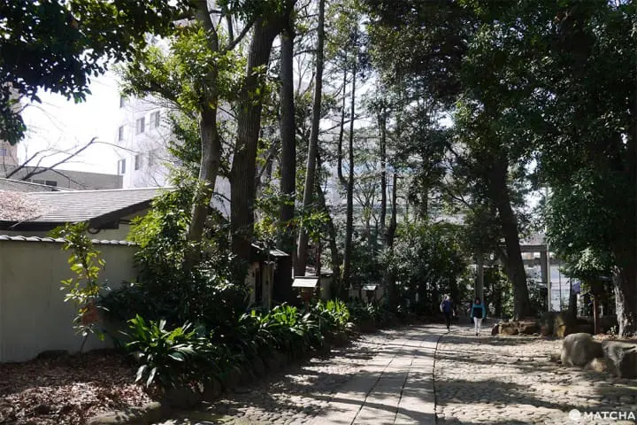 代代木慢步調半日遊（代々木半日散策）