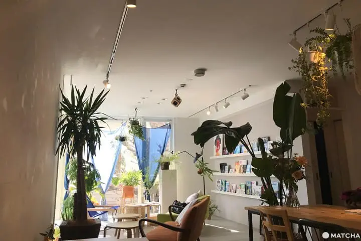 代代木慢步調半日遊（代々木半日散策）