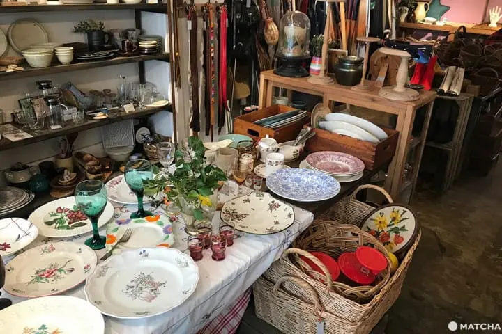 代代木慢步調半日遊（代々木半日散策）