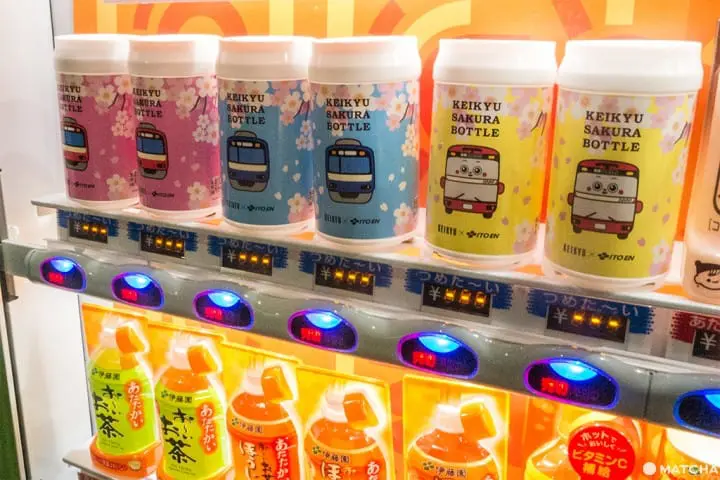 三浦海岸套券一日遊(三浦海岸日帰り旅行)