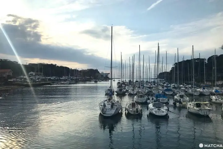 三浦海岸套券一日遊(三浦海岸日帰り旅行)