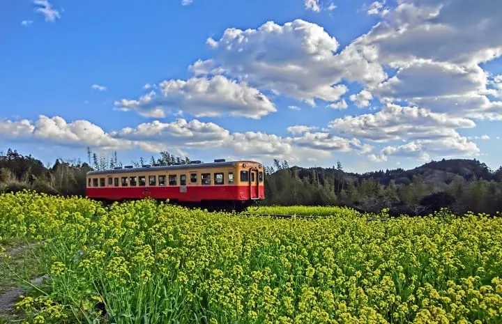 Nagano Travel Guide: Sightseeing, Ski Resorts, Local Food And More!