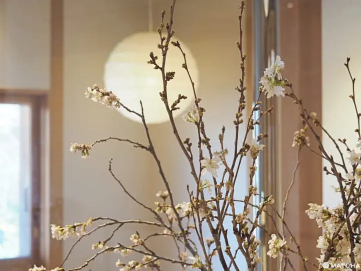 日東堂 二樓 櫻花