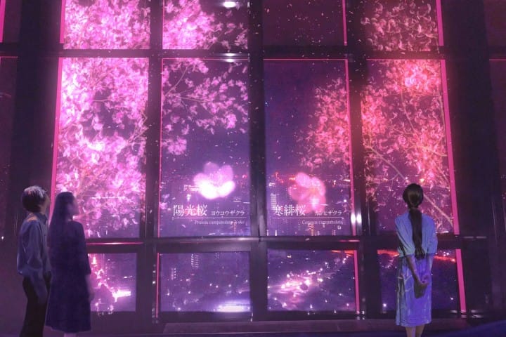 โตเกียวทาวเวอร์ (Tokyo Tower) สัญลักษณ์คู่โตเกียว