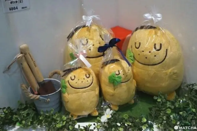 Calbee PLUS Harajuku - Freshly Fried Potato Snacks And Special Flavors