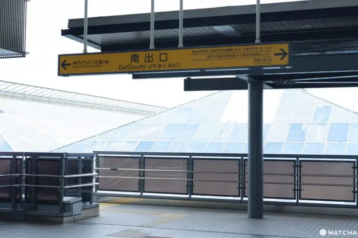 神戶動物王國一日遊：孩子與老人家的互動天堂（神戶動物王國）