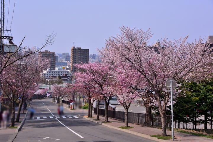 藻岩山麓