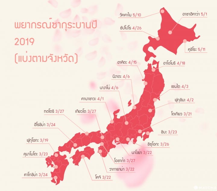 พยากรณ์ดอกซากุระบานปี 2019 บานเมื่อไหร่ และชมซากุระที่ไหนสวย มาดูกัน!