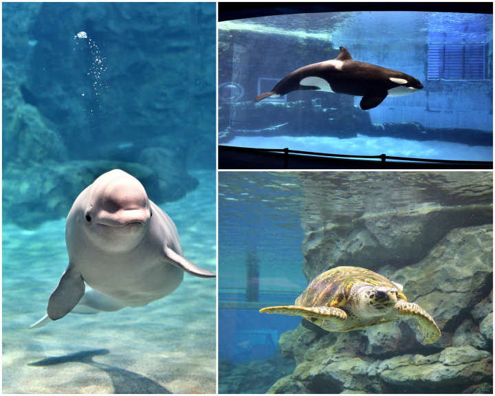 พาลูกเที่ยว ทั้งสนุกและได้ความรู้ในนาโกย่า (Nagoya)