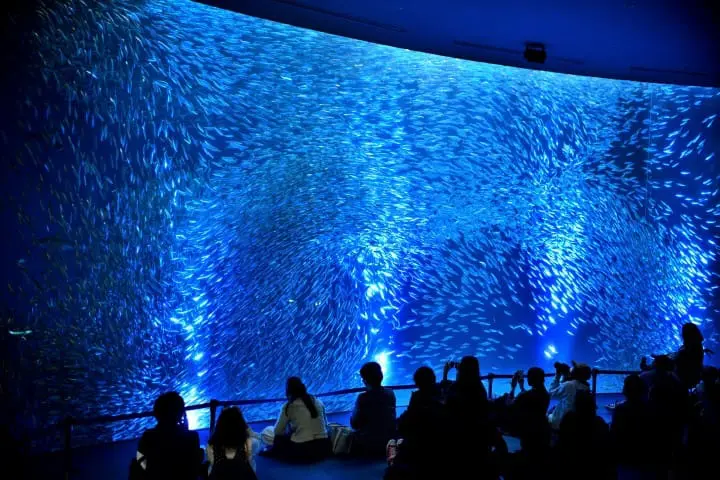 พาลูกเที่ยว ทั้งสนุกและได้ความรู้ในนาโกย่า (Nagoya)