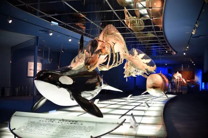 พาลูกเที่ยว ทั้งสนุกและได้ความรู้ในนาโกย่า (Nagoya)