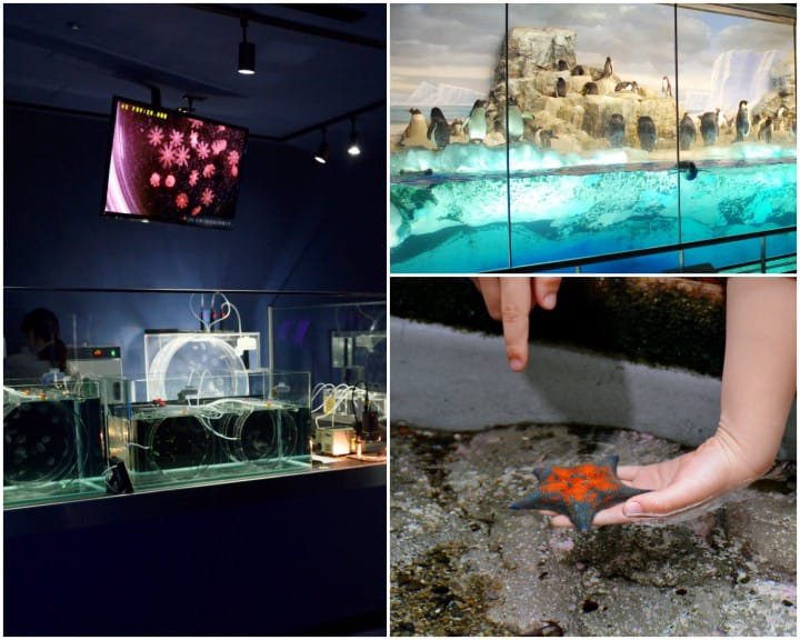 พาลูกเที่ยว ทั้งสนุกและได้ความรู้ในนาโกย่า (Nagoya)