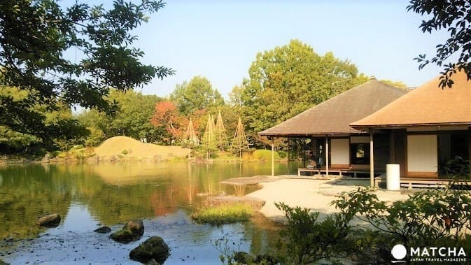 【中部北陆】名古屋岐阜富山石川福井纵走 交通票券景点旅游攻略(下集)