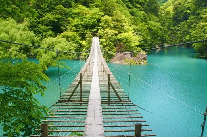 グリーンの湖上をお散歩！静岡の絶景スポット「夢の吊橋」