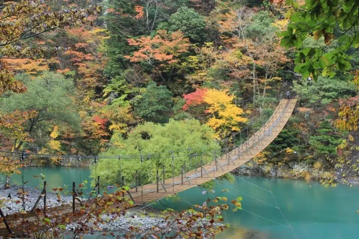 グリーンの湖上をお散歩！静岡の絶景スポット「夢の吊橋」