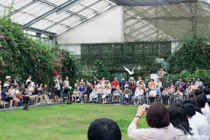 【神户】动物自由自在,全家大小尽情享受的无障碍动物园“神户动物王国”