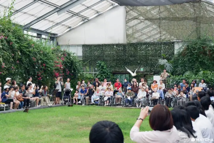 【神戶】動物自由自在，全家大小盡情享受的無障礙動物園「神戶動物王國」