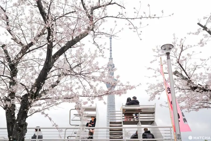 東京メトロ花見