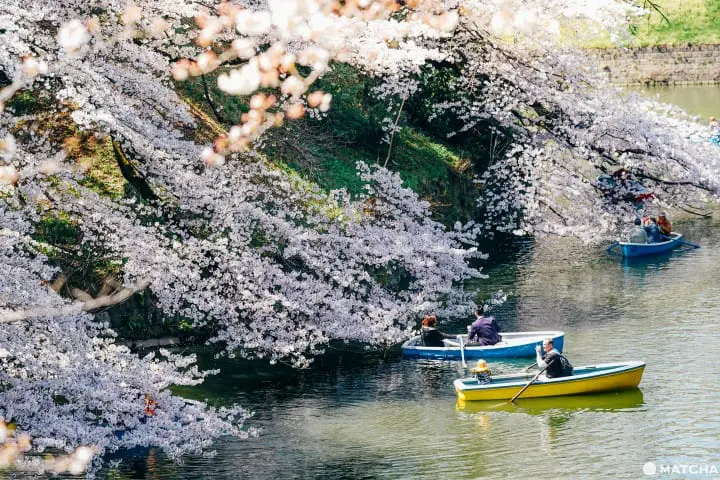 東京メトロ花見