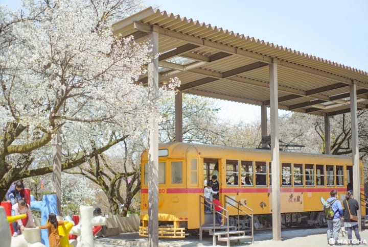 東京メトロ花見