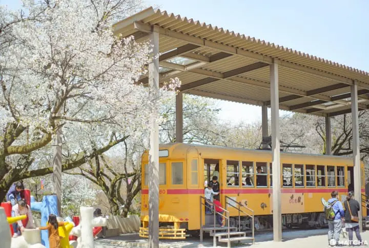 東京メトロ花見