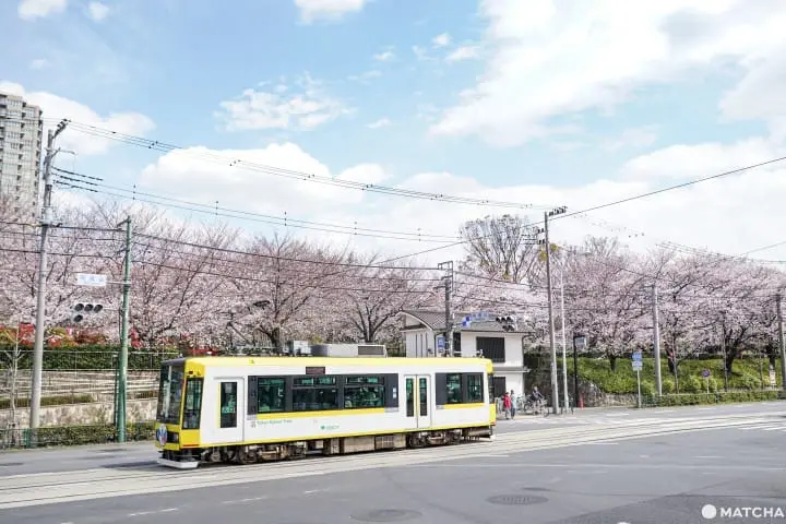東京メトロ花見