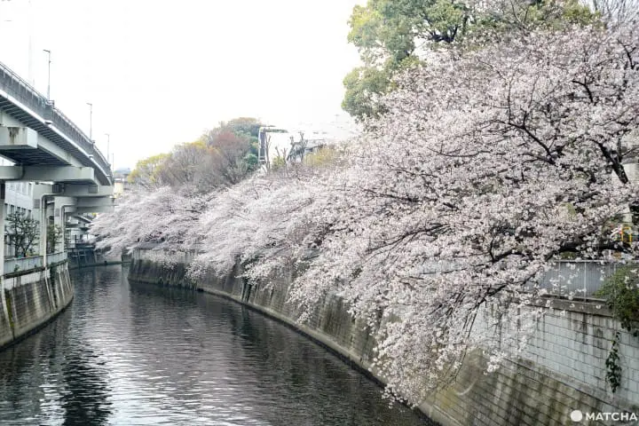 東京メトロ花見