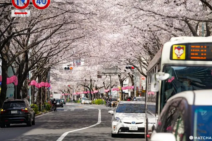 東京メトロ花見