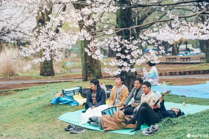 東京メトロ花見