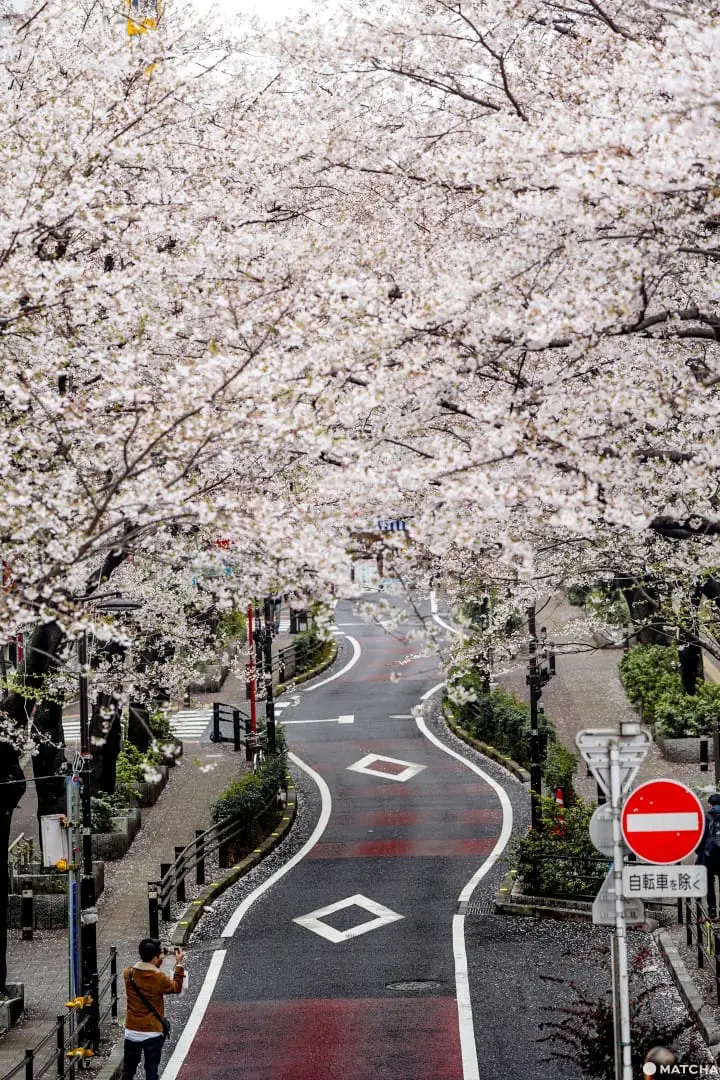 東京メトロ花見