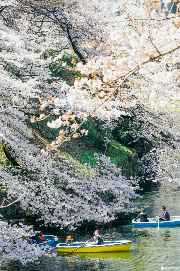 東京メトロ花見