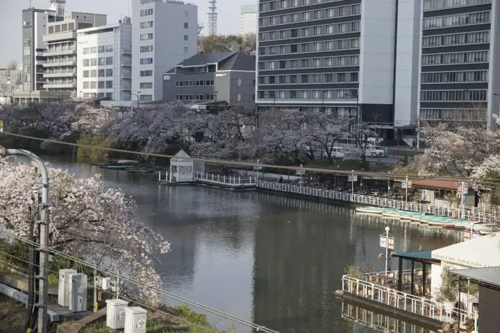東京メトロ花見