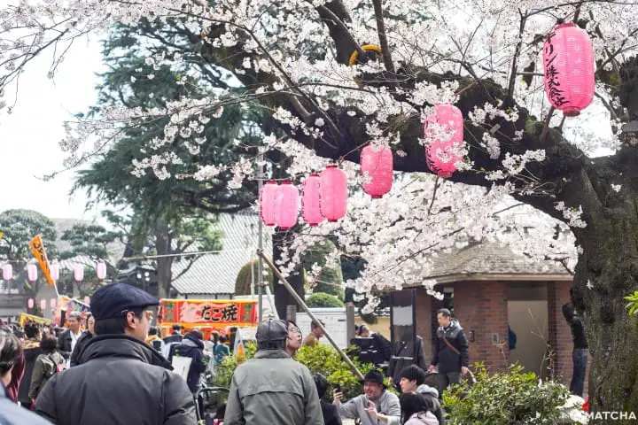 東京メトロ花見