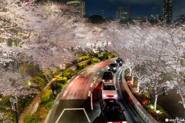東京メトロ花見