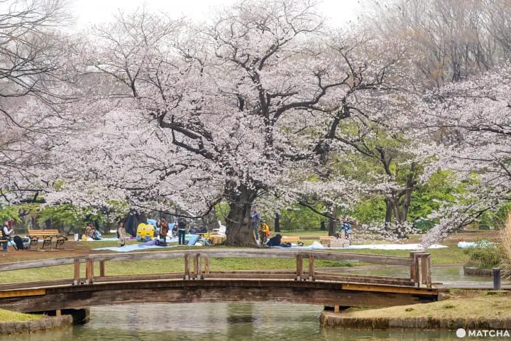 東京メトロ花見