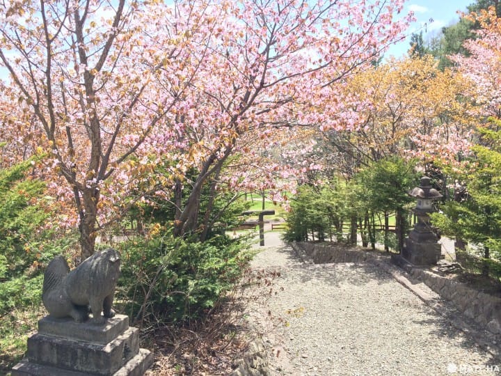中富良野神社