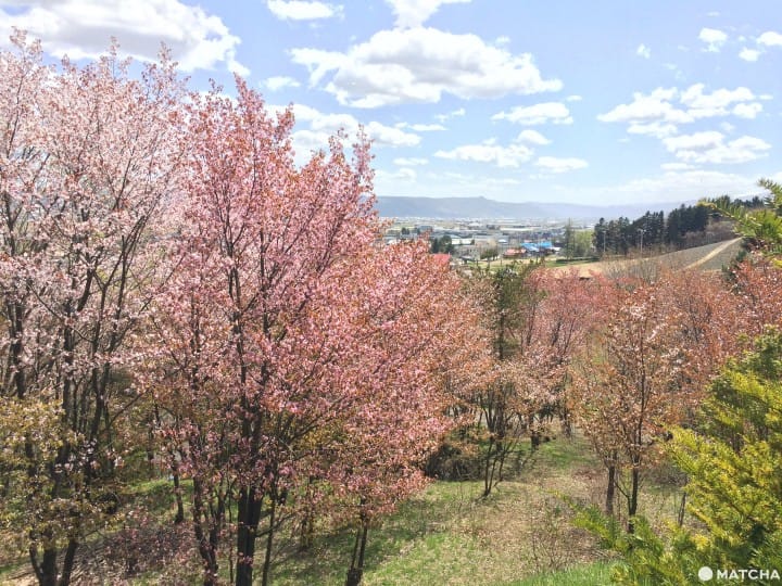 中富良野神社