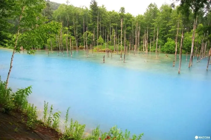 Summer In Japan - Weather, Clothing And Travel Tips For June-August