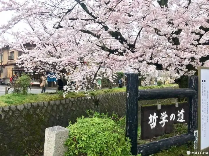 【京都】金银铜阁大集合，隐身祇园的「铜阁」特别公开！ 